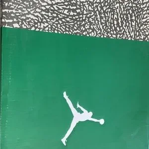 Jordan | Shoes | Jordan 3 Pine Green Size 2 New Sat In My  display picture 2